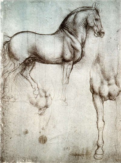 Study of horses by Leonardo da Vinci